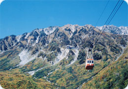 �y�G�[�XJTB�E�������s�z�x�R�c�A�[�E�x�R�̗��فE�z�e���\��@